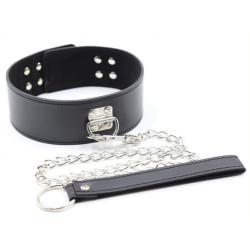 Generique Collier et Laisse Pin Lock Noir